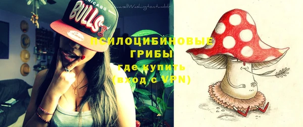 прущие грибы Кинешма