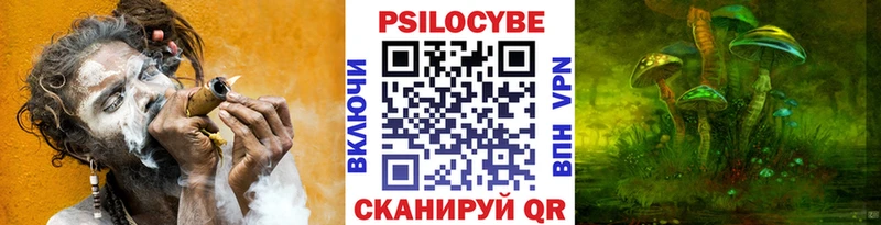 Псилоцибиновые грибы мицелий  Зима 