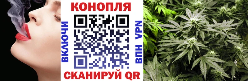 Бошки марихуана ГИДРОПОН  Зима 